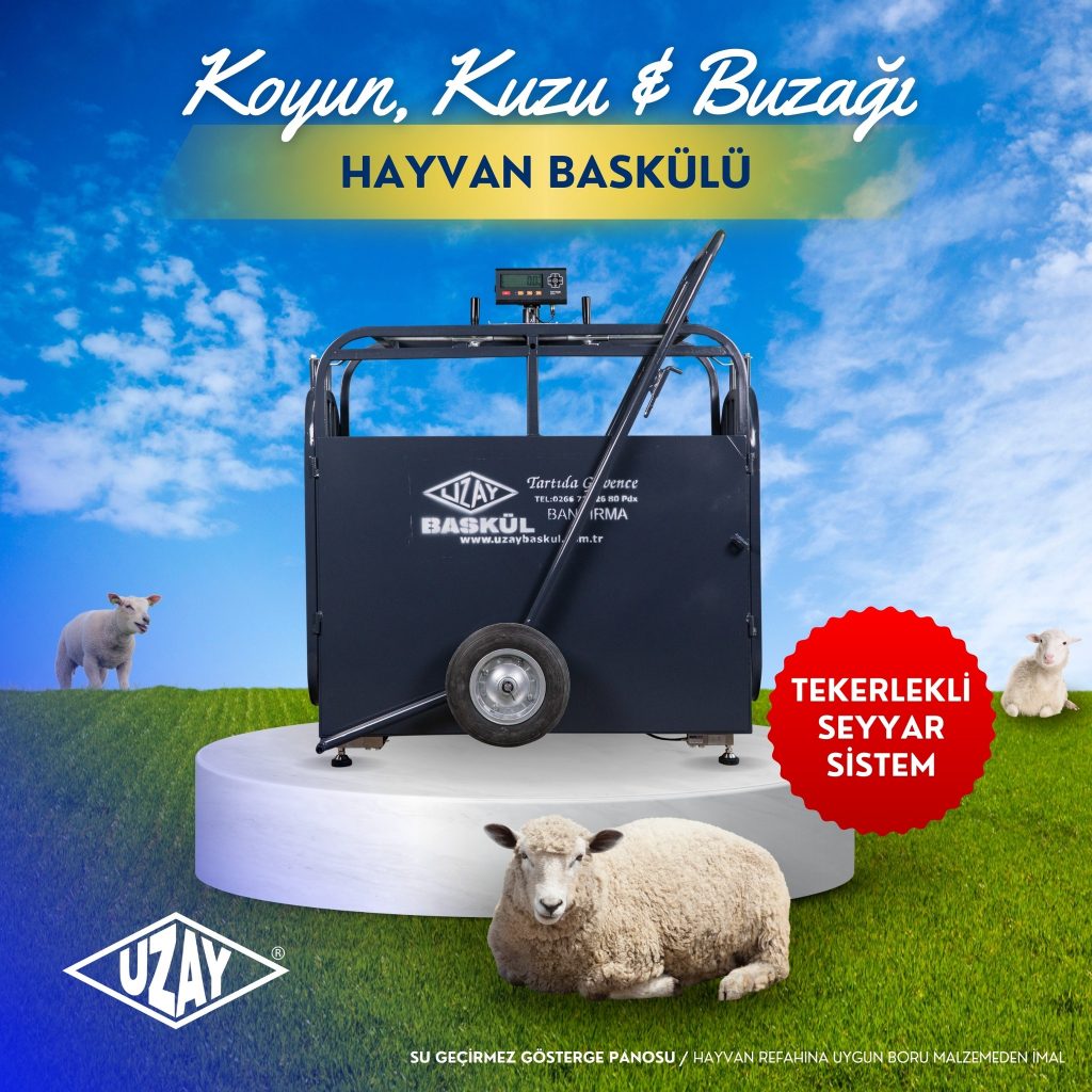 KOYUN KUZU VE BUZAĞI BASKÜLÜ
