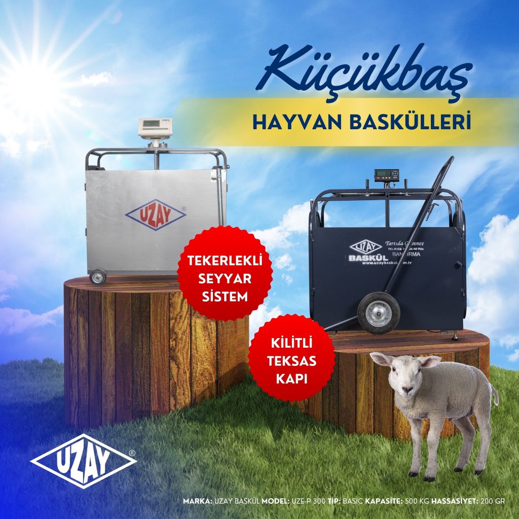 KÜÇÜKBAŞ HAYVAN BASKÜLÜ